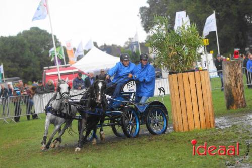 Marathon dicipline bij de Hietmaat in Hengelo - deel 1 (08-10-2023)