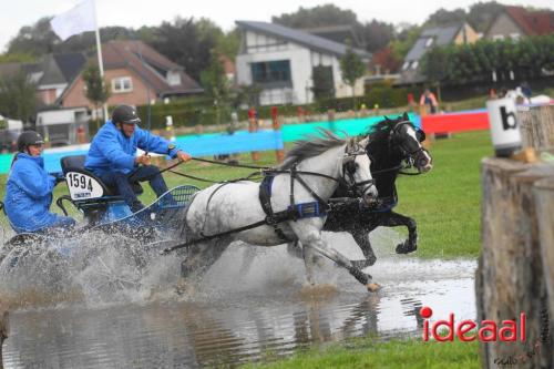 Marathon dicipline bij de Hietmaat in Hengelo - deel 1 (08-10-2023)