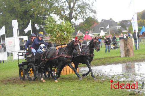Marathon dicipline bij de Hietmaat in Hengelo - deel 1 (08-10-2023)
