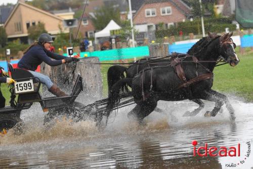 Marathon dicipline bij de Hietmaat in Hengelo - deel 1 (08-10-2023)