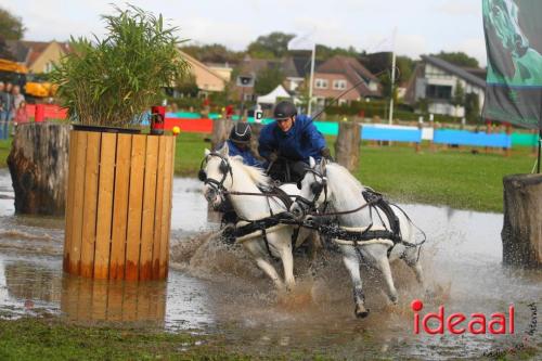 Marathon dicipline bij de Hietmaat in Hengelo - deel 1 (08-10-2023)