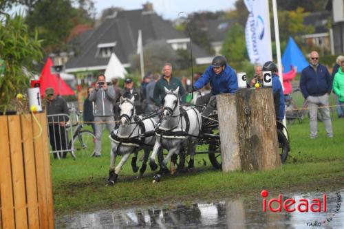 Marathon dicipline bij de Hietmaat in Hengelo - deel 1 (08-10-2023)