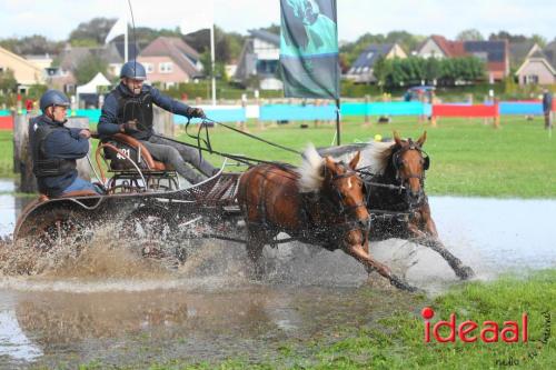Marathon dicipline bij de Hietmaat in Hengelo - deel 1 (08-10-2023)