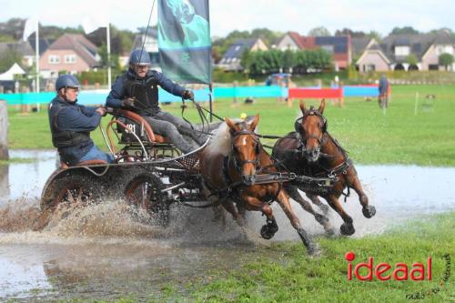 Marathon dicipline bij de Hietmaat in Hengelo - deel 1 (08-10-2023)