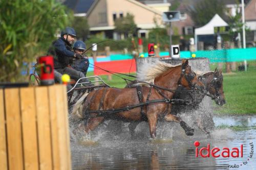 Marathon dicipline bij de Hietmaat in Hengelo - deel 1 (08-10-2023)