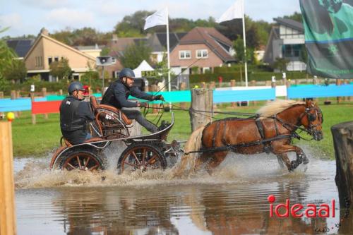 Marathon dicipline bij de Hietmaat in Hengelo - deel 1 (08-10-2023)