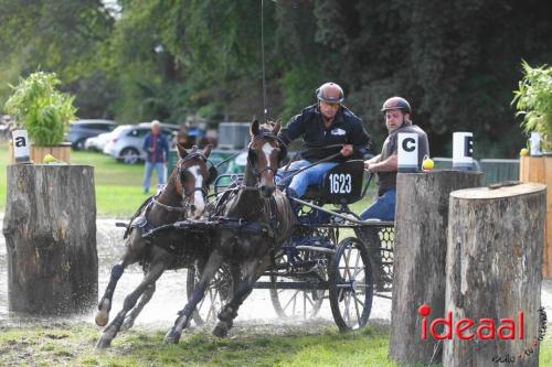 Marathon dicipline bij de Hietmaat in Hengelo - deel 1 (08-10-2023)