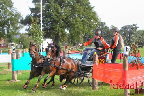 Marathon dicipline bij de Hietmaat in Hengelo - deel 1 (08-10-2023)