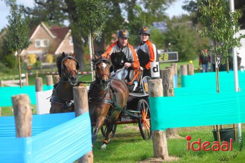 Marathon dicipline bij de Hietmaat in Hengelo - deel 1 (08-10-2023)