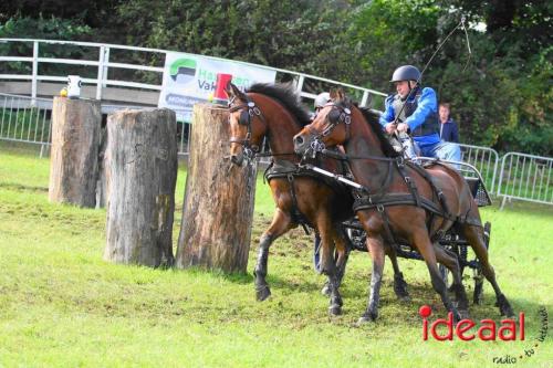 Marathon dicipline bij de Hietmaat in Hengelo - deel 1 (08-10-2023)