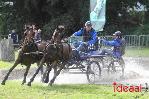 Marathon dicipline bij de Hietmaat in Hengelo - deel 1 (08-10-2023)