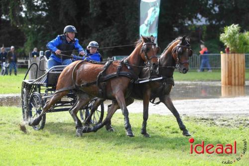 Marathon dicipline bij de Hietmaat in Hengelo - deel 1 (08-10-2023)