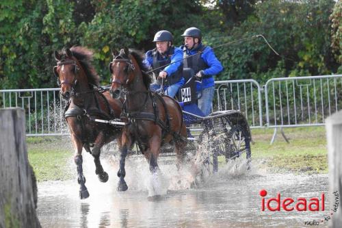 Marathon dicipline bij de Hietmaat in Hengelo - deel 1 (08-10-2023)
