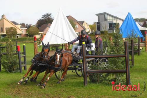Marathon dicipline bij de Hietmaat in Hengelo - deel 1 (08-10-2023)