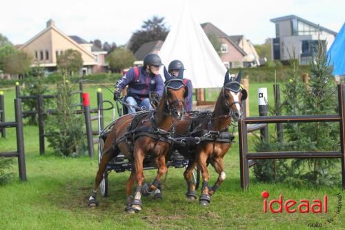 Marathon dicipline bij de Hietmaat in Hengelo - deel 1 (08-10-2023)