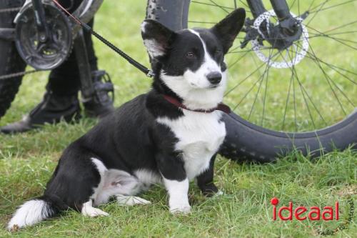 Marathon dicipline bij de Hietmaat in Hengelo - deel 1 (08-10-2023)
