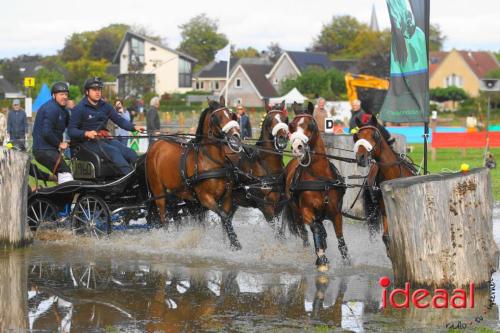 Marathon dicipline bij de Hietmaat in Hengelo - deel 2 (08-10-2023)