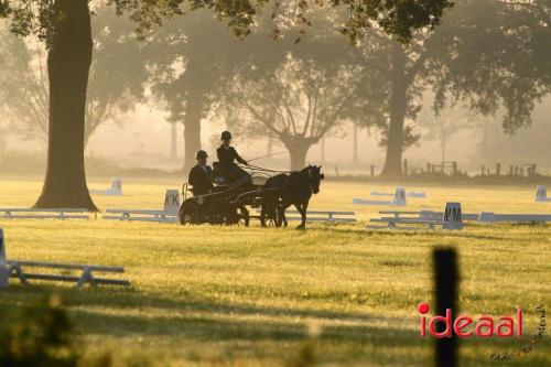 KNHS Dressuur bij De Hietmaat - deel 1 (05-10-2024)