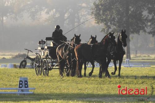 KNHS Dressuur bij De Hietmaat - deel 1 (05-10-2024)