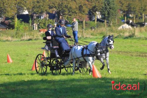 KNHS Dressuur bij De Hietmaat - deel 1 (05-10-2024)