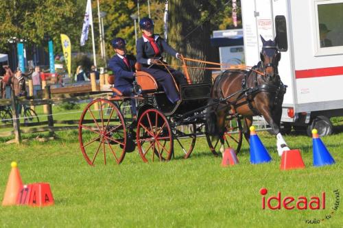 KNHS Dressuur bij De Hietmaat - deel 1 (05-10-2024)