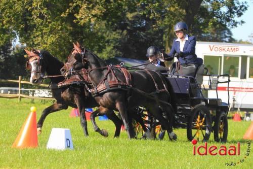 KNHS Dressuur bij De Hietmaat - deel 1 (05-10-2024)