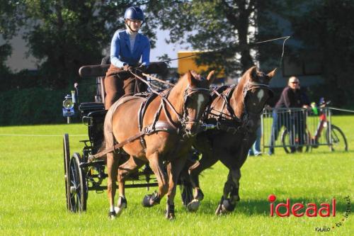 KNHS Dressuur bij De Hietmaat - deel 1 (05-10-2024)