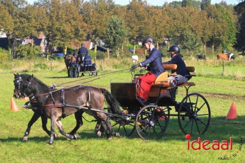 KNHS Dressuur bij De Hietmaat - deel 1 (05-10-2024)