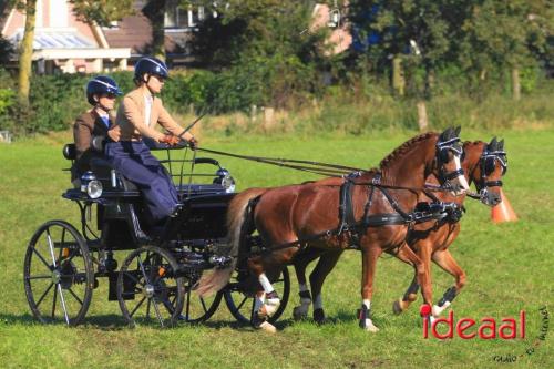 KNHS Dressuur bij De Hietmaat - deel 2 (05-10-2024)