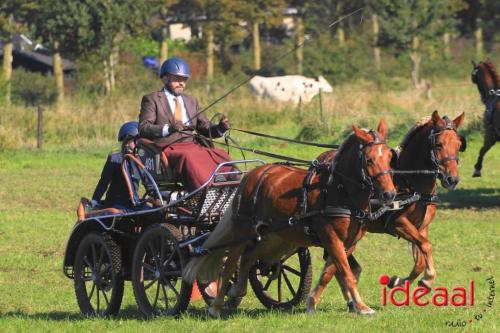 KNHS Dressuur bij De Hietmaat - deel 2 (05-10-2024)