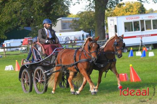 KNHS Dressuur bij De Hietmaat - deel 2 (05-10-2024)