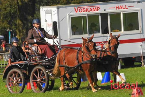 KNHS Dressuur bij De Hietmaat - deel 2 (05-10-2024)