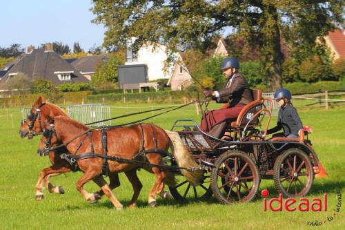 KNHS Dressuur bij De Hietmaat - deel 2 (05-10-2024)