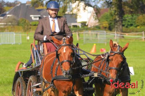 KNHS Dressuur bij De Hietmaat - deel 2 (05-10-2024)