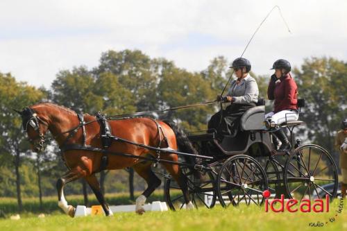 KNHS Dressuur bij De Hietmaat - deel 3 (05-10-2024)