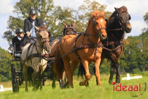 KNHS Dressuur bij De Hietmaat - deel 3 (05-10-2024)