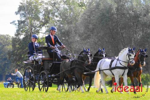 KNHS Dressuur bij De Hietmaat - deel 3 (05-10-2024)