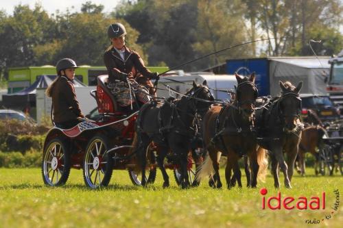 KNHS Dressuur bij De Hietmaat - deel 3 (05-10-2024)