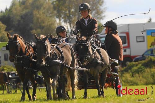 KNHS Dressuur bij De Hietmaat - deel 3 (05-10-2024)