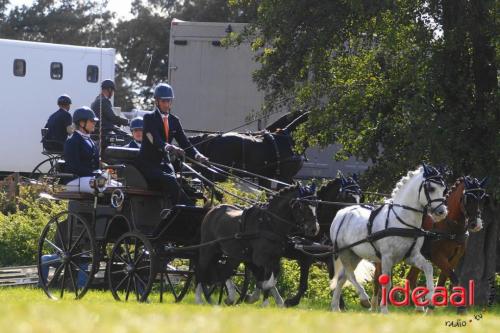 KNHS Dressuur bij De Hietmaat - deel 3 (05-10-2024)