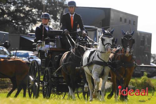 KNHS Dressuur bij De Hietmaat - deel 3 (05-10-2024)