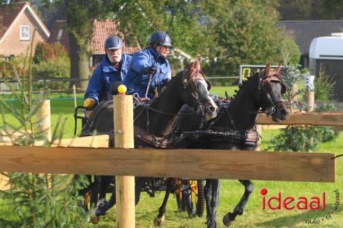 KNHS Marathon bij De Hietmaat in Hengelo | zondag - deel 1 (06-10-2024)