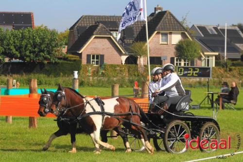 KNHS Marathon bij De Hietmaat in Hengelo | zondag - deel 1 (06-10-2024)