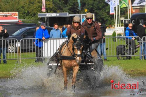 KNHS Marathon bij De Hietmaat in Hengelo | zondag - deel 1 (06-10-2024)