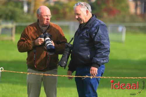 KNHS Marathon bij De Hietmaat in Hengelo | zondag - deel 1 (06-10-2024)