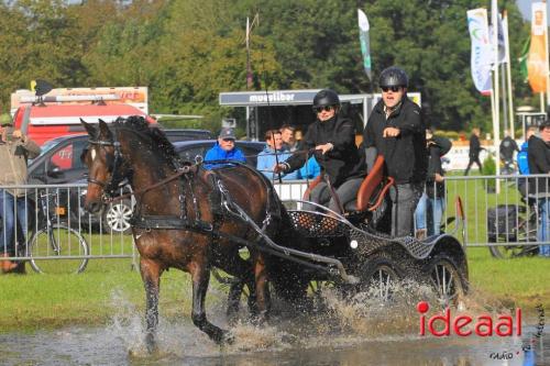 KNHS Marathon bij De Hietmaat in Hengelo | zondag - deel 1 (06-10-2024)