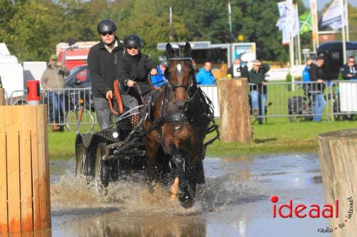 KNHS Marathon bij De Hietmaat in Hengelo | zondag - deel 1 (06-10-2024)