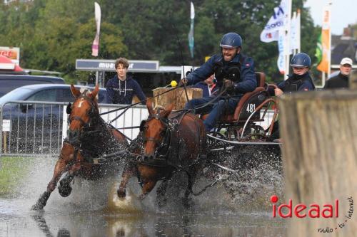 KNHS Marathon bij De Hietmaat in Hengelo | zondag - deel 1 (06-10-2024)