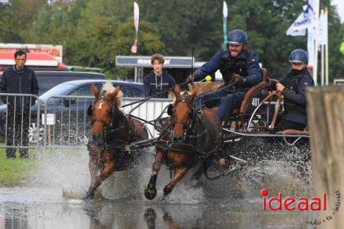 KNHS Marathon bij De Hietmaat in Hengelo | zondag - deel 1 (06-10-2024)