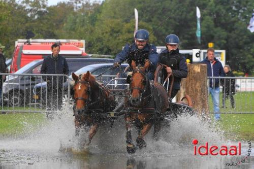 KNHS Marathon bij De Hietmaat in Hengelo | zondag - deel 1 (06-10-2024)